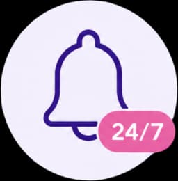 Alert 24/7 Monitoring